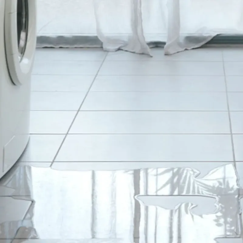 Appliance Leak Cleanup in Heeia, HI